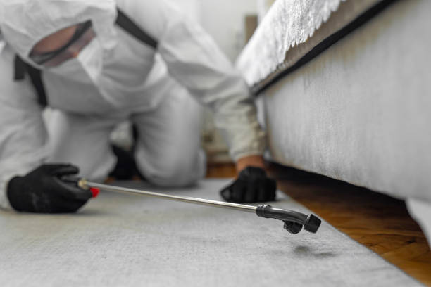 Professional Bed Bug Control technician working in Augusta County County, VA